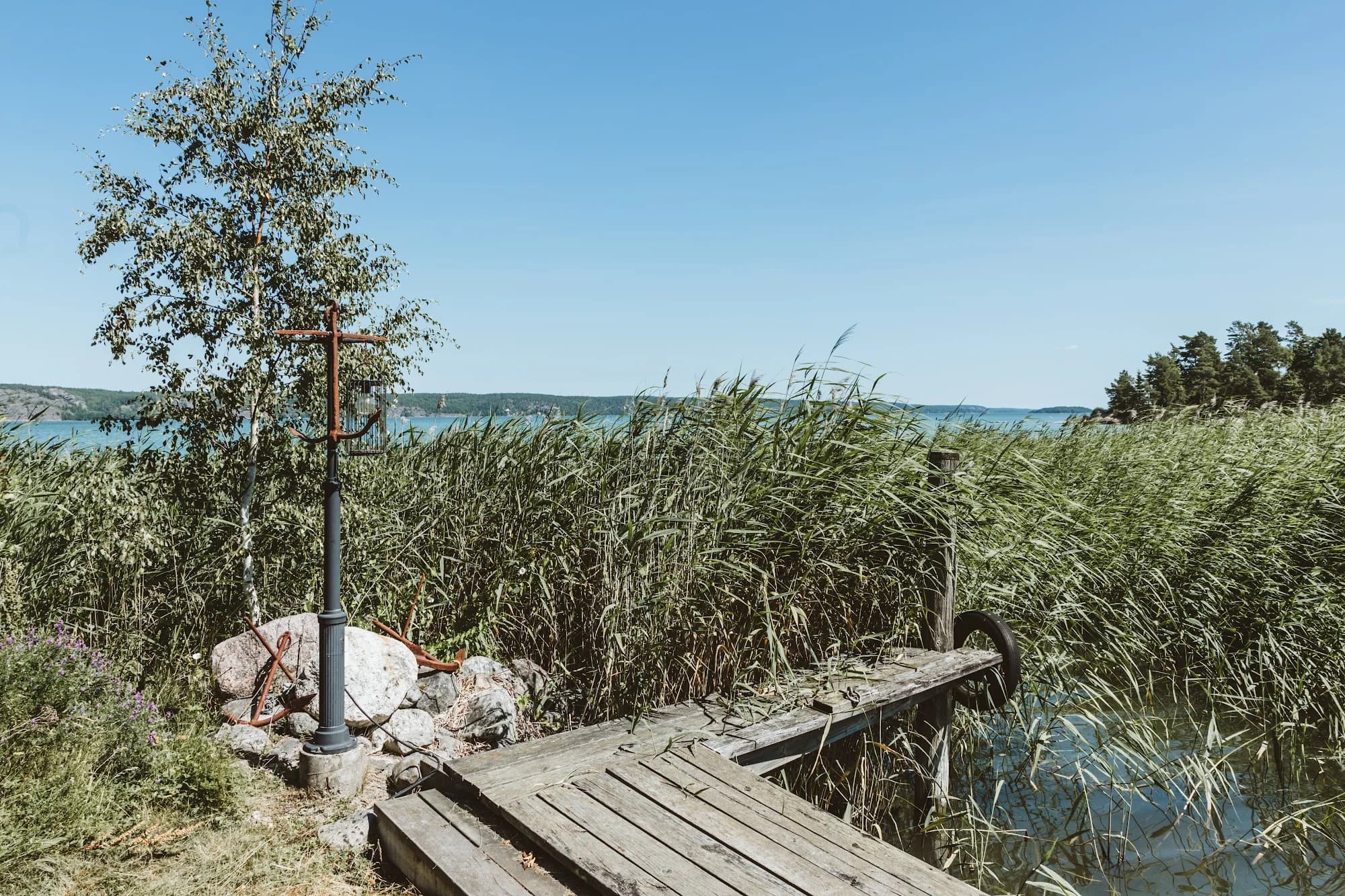 A small jetty through the reeds towards open water