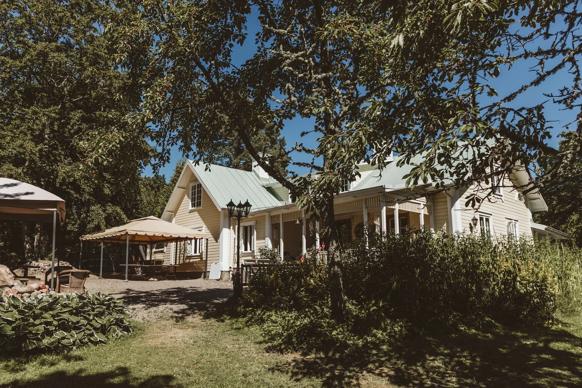 The Main House among tall trees on a summer day