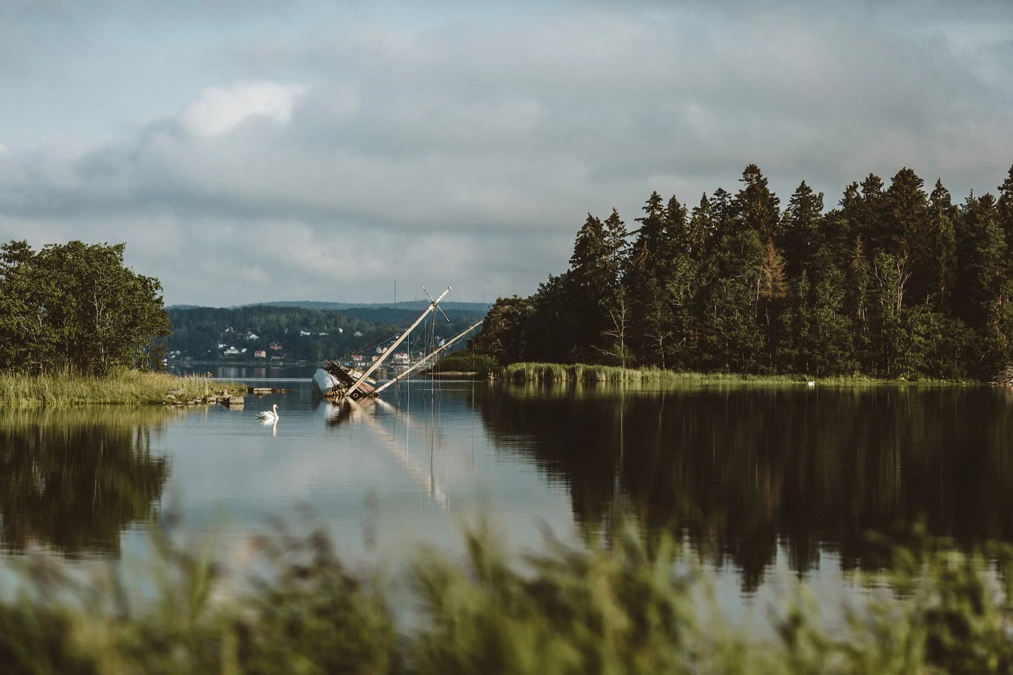 Still water and a wooded island in the bay