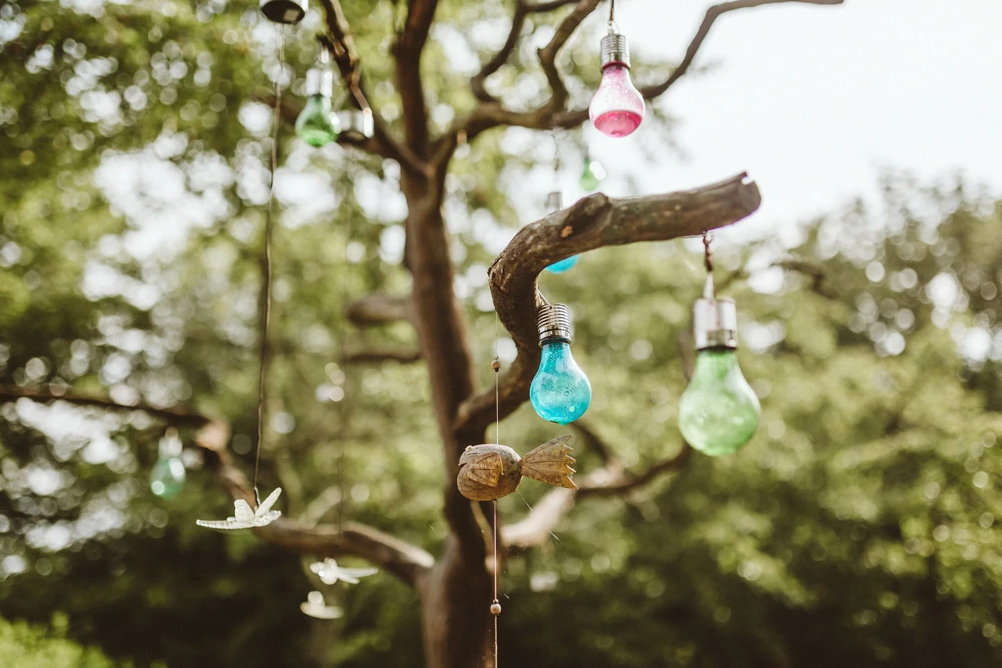 Coloured glass bulbs hanging from a garden tree