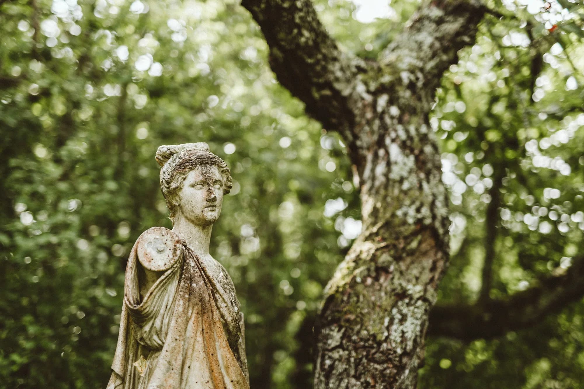 A stone statue beside an old tree