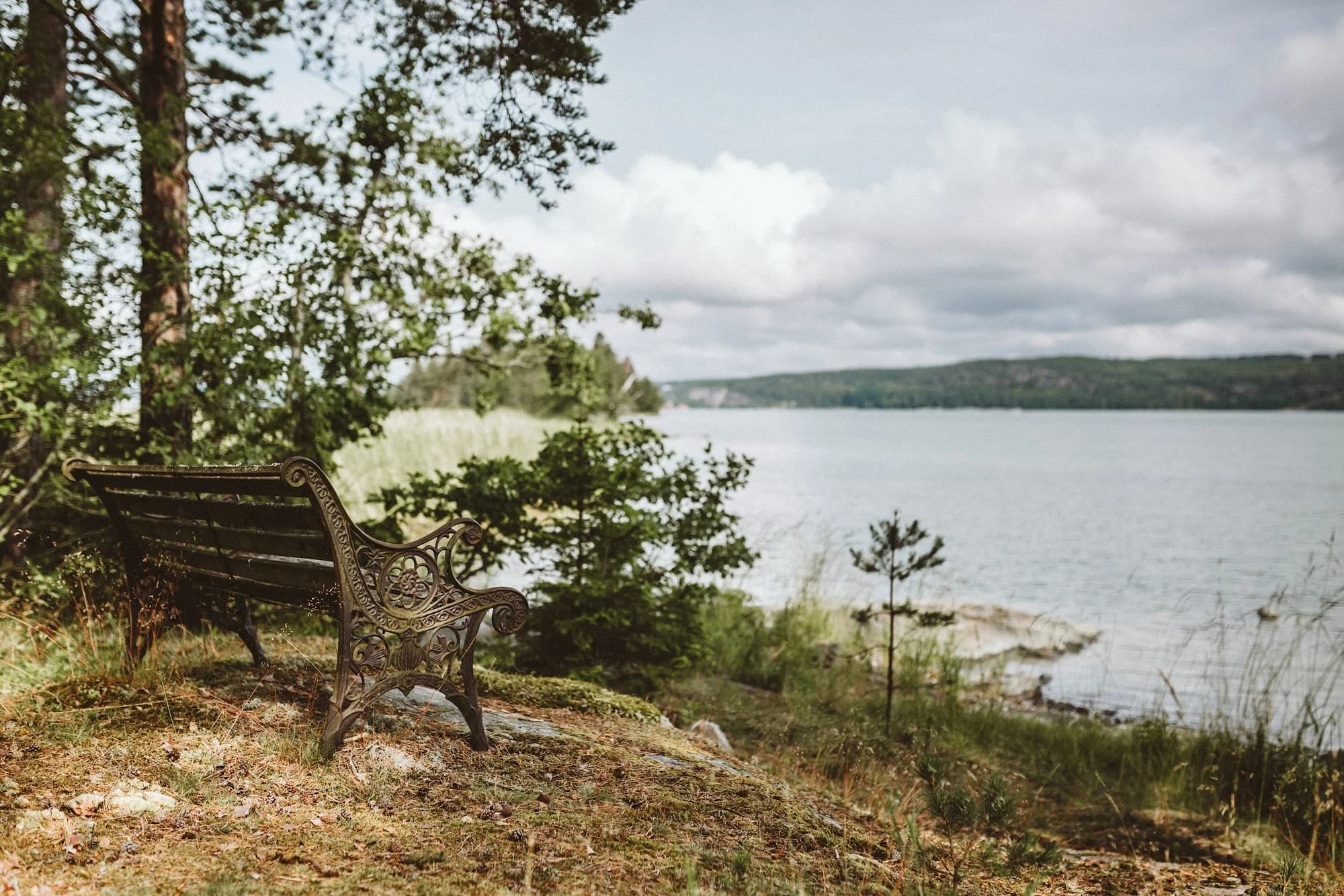A bench on the shore looking out over the bay