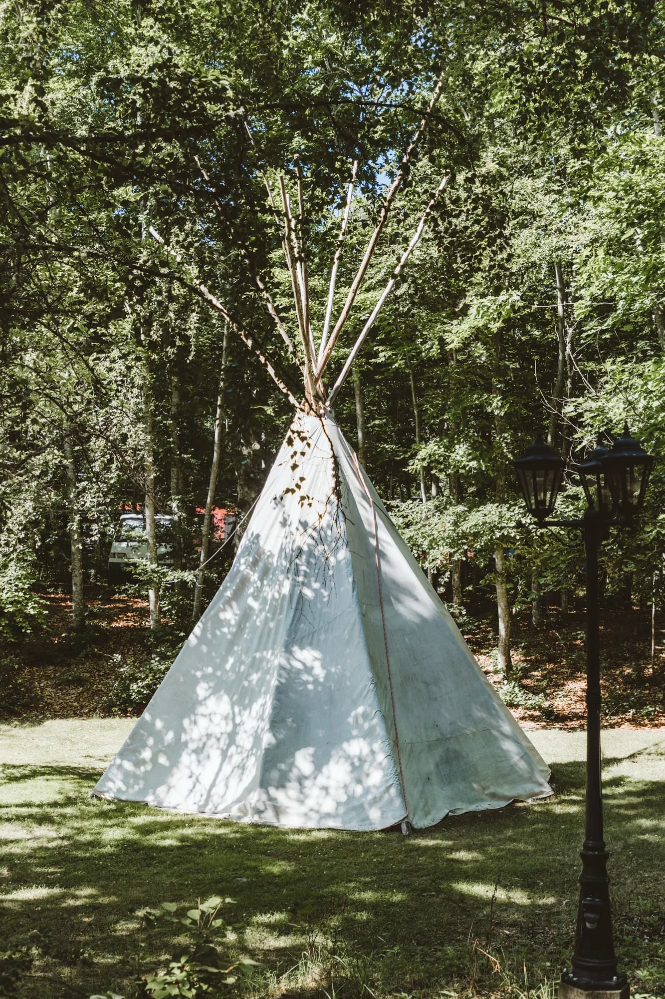 A white tipi among the trees