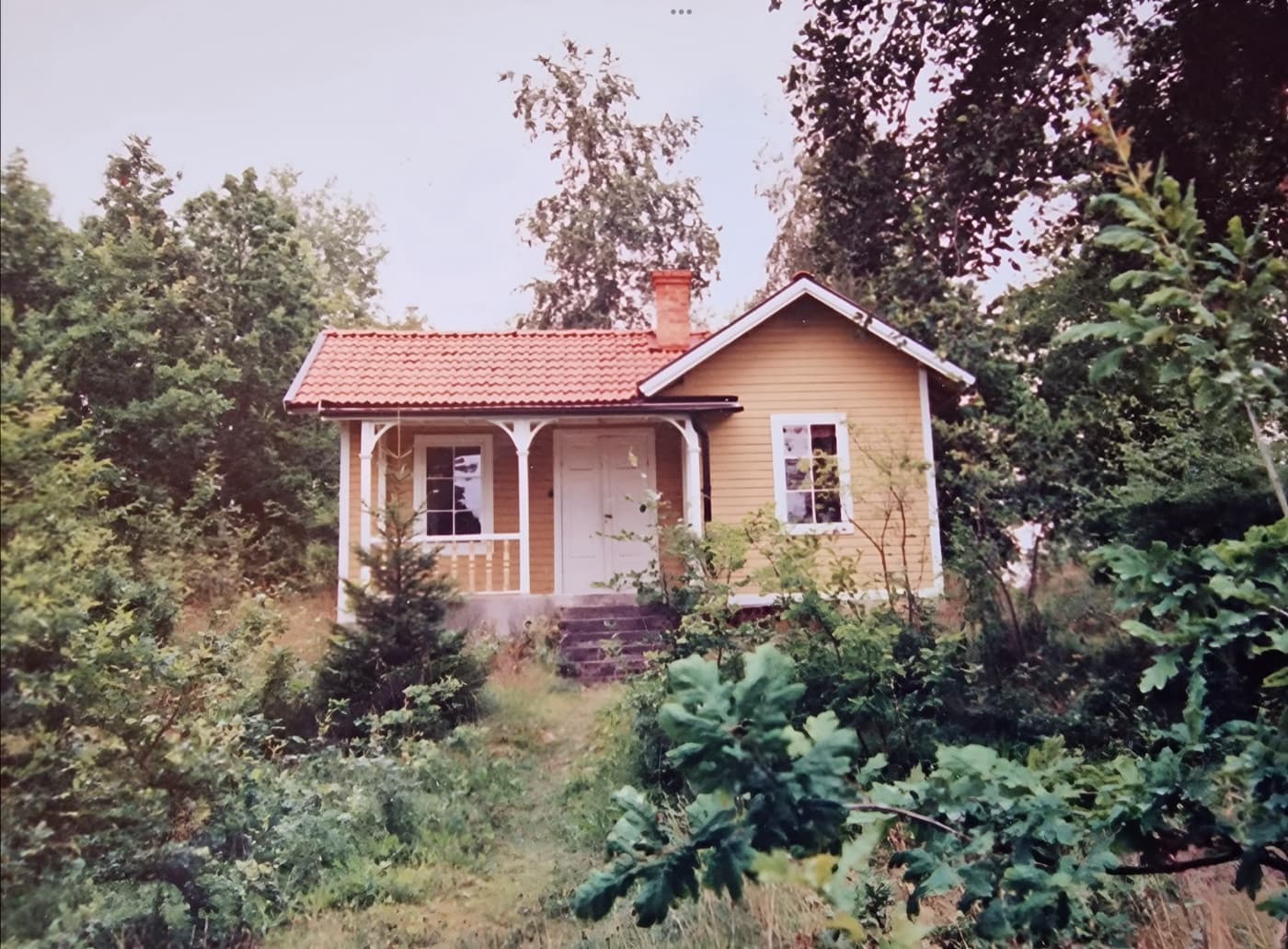 The little yellow cottage among the trees, as it looked in the early days