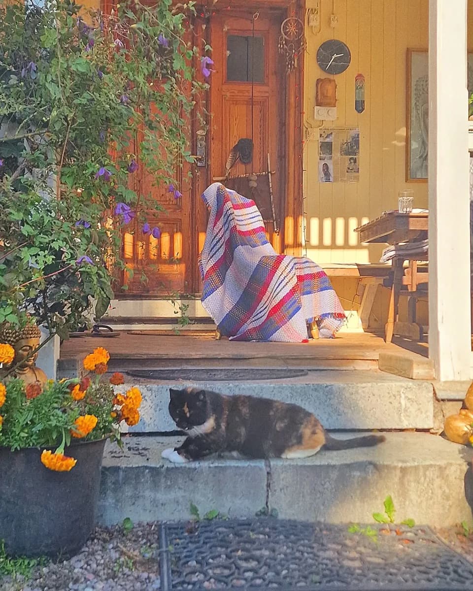 From our Instagram
