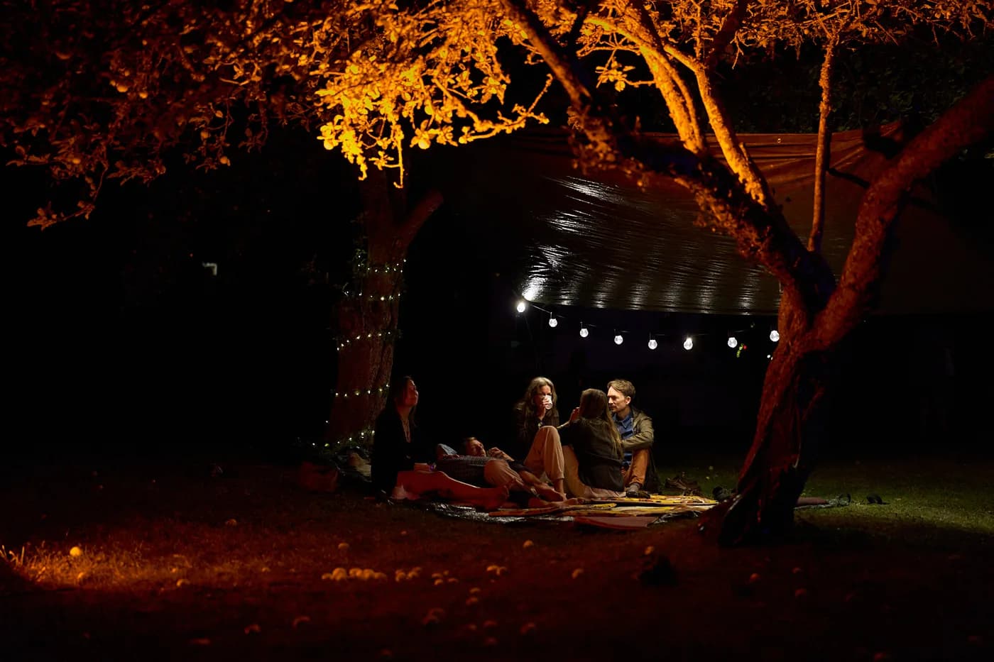 People sitting together beneath a warmly lit tree at night